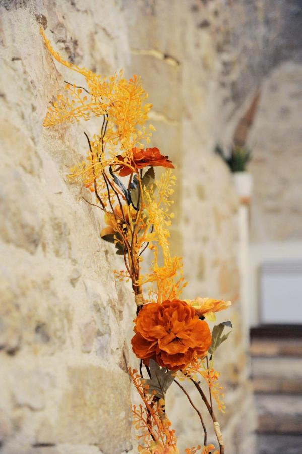 O Rosa Bella Appartamento Via Savelli Della Porta 24 Gubbio Buitenkant foto