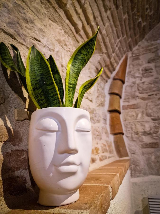 O Rosa Bella Appartamento Via Savelli Della Porta 24 Gubbio Buitenkant foto